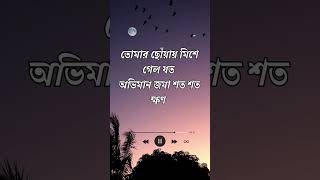 Tumi Ele | তুমি এলে | Bangla New Song |  #banglagaan  #song  #music #bongotune  #banglamusic  #love