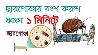মাত্র ১ মিনিটে ছারপোকা তাড়ানোর সবচাইতে সহজ পদ্ধতি ||  How to Easily Remove Sarpoka