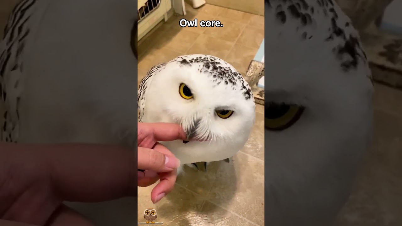 サムネ