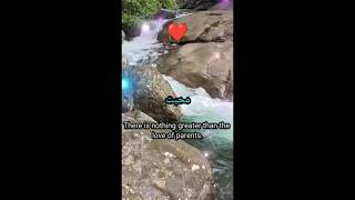 👩‍👦 "माँ-बाप की मोहब्बत – सबसे बड़ी दौलत | Emotional Shayari"🌹