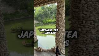 Tea Garden | Todays vlog|telugu vlogs from usa #shorts #viral #america #vlogsindia #usateluguvlogs