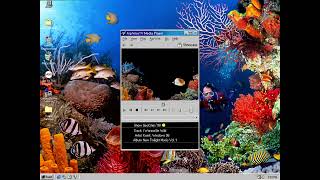 Komit, Windows 96 - I Wanna Be Wild