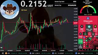 $PNUT | Live Stream 24/7 | Peanut The Squirrel USDT | Crypto Signals Chart