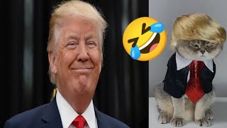 Cute Cat🥰 cute dog🥰 and cute animals🤗 compilation #3  try not to laugh🤣🤣