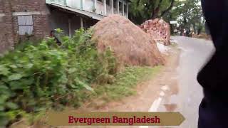 দুপাশে সবুজ গাছের সমারোহ । চোখ জুড়ানো সৌর্ন্দয।