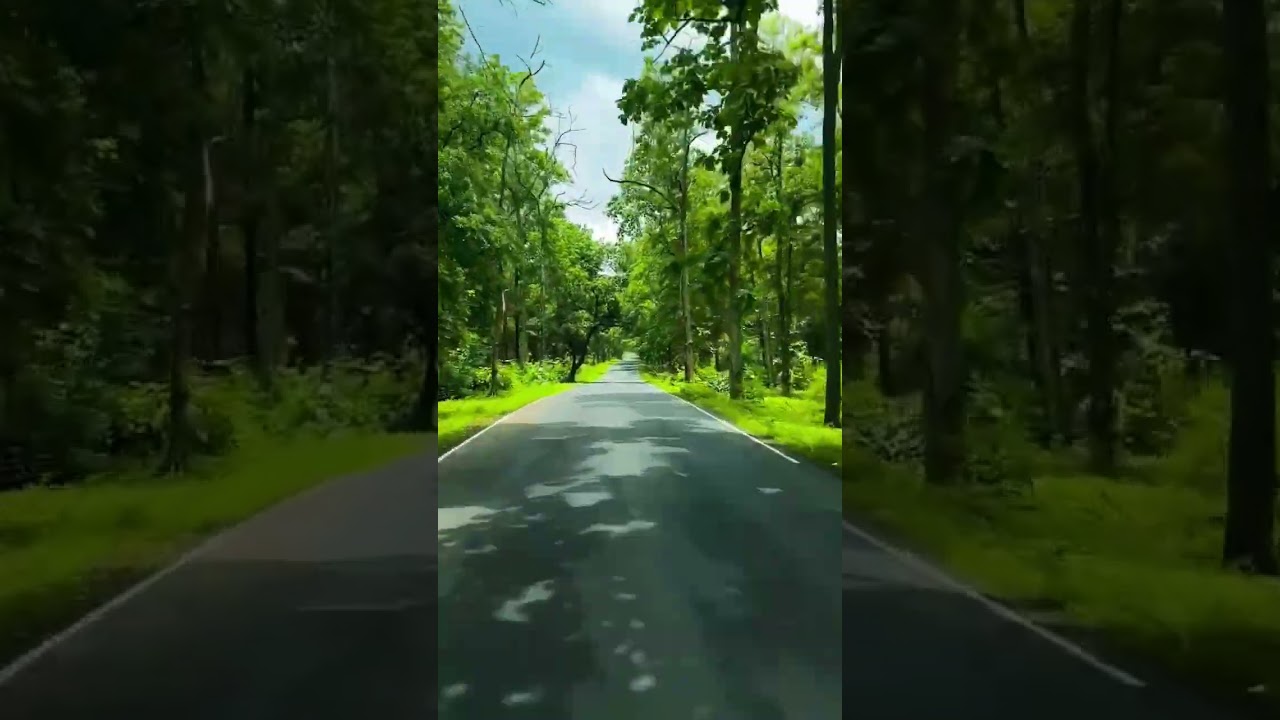 サムネ