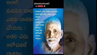 #TeluguLifequotes🙏😇 #shorts #short #ytshorts #31