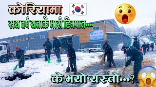 Heavy snow fall in s.korea, Nov-2024|| THEBA