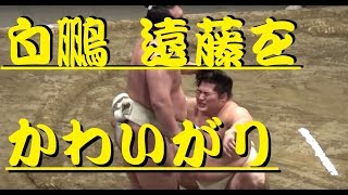 白鵬・新小結遠藤にぶつかり稽古！たっぷりと”かわいがり”　2018年横審稽古総見