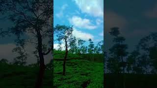 #sad #song #nature