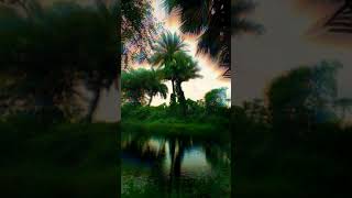 Pehle kyun na mile hum whatsapp status #shorts  #ExploreNaturewithavillageBoy