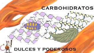 Carbohidratos | Dulces Y Poderosos