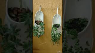 Wall 🧱 Planter's 🏞️#besthomedecor Indoors and outdoors
