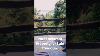 🏡 230 Perches + Luxury Lakefront House | Panadura | LKR 230M 💎#realestate   #resort  #valuablelnd