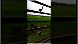 Yeh zameen Ruk jaye||Adnan Sami||Whatsapp status||#shorts #nature