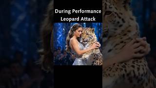 Leopard attack During Performance #animationhub