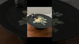 Thrift Flip ~ Make a Vintage Looking Cake Stand (How-to Video)