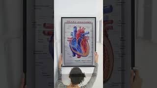 Experience Art in 3D: PVC Embossed Posters That Pop!  #organizedworkspace #embossed #thermoforming