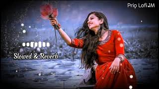 ХUdas Dupur Bela Shokhi | উদাস দুপুর বেলা Slowed and Reverb | TikTok Viral Songs | Prio Lofi 1M