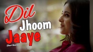 Dil Jhoom Jaaye Slow and Reverb Song | New Lofi Bits | #newlofibits #romanticlofisong
