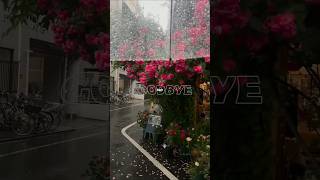 heat waves - glass animals#fypviralシ #trendingshorts #aesthetic #heatwaves #treadingmusic #reel