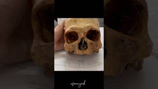 MBBS 1 年目の科目 📚#mbbs #medicalcollege #medicalstudent #trending