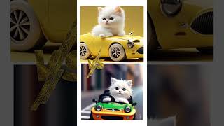who has a cool car #funny #kindnessjourney #kindnesstales #rose #cat #automobile #lightningmcquee #t
