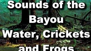 Relaxation Sounds : Blue Bayou - Crickets, Frogs and Bugs