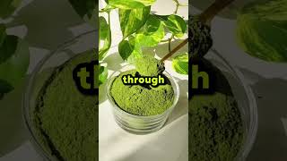 This easy home remedy will DOUBLE your size #ytshorts #shorts #short #shortfeed #remedy #remedies