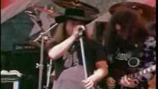 Lynyrd Skynyrd - Free Bird (Live)