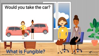 Money and Wealth: What Is Fungible?