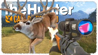 Hunting MULE DEER on EVERY map (ʷʰᶦᶜʰ ᵒⁿᵉ'ˢ ᵗʰᵉ ᵇᵉˢᵗˀ) | theHunter: Call of the Wild