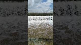 #Dharmavaram lake #shorts#viralshorts #viral #viralvideos