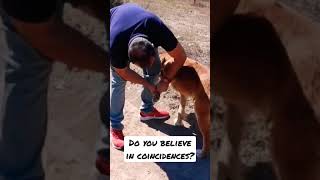HOMELESS TRANSFORMATION! HAVE YOU EVER BEEN ALONE?! #shorts #homeless #homelesstransformation