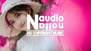 Altero & Niwel - Coming Home (inLu Remix) | (No Copyright Background Music for Vlogs)