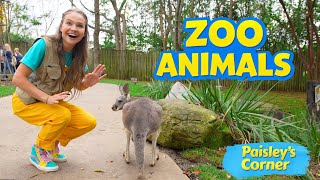 Silly Miss Lily visits Nashville Zoo to Learn about Zoo Animals | Toddler Learning | Videos for Kids
