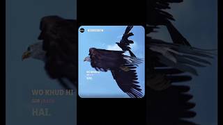 Don’t Fight Just Rise! #EagleMindset#FlyHigh#IgnoreNegativity#StayFocused#MotivationDaily#RiseAbove