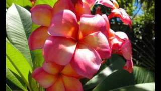 E Na Noqu mai tu, E na Buca Ni Valu....LTC choir, Fiji