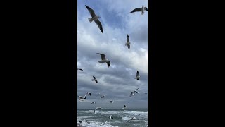 Motivational Quotes in Hindi - 35 | बेस्ट मोटिवेशनल विडिओ | Motivational Quotes | #Shorts