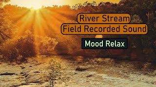 Mystical River Sound | Natural Sound (Field Recorded) - Calm and Relaxing River Stream