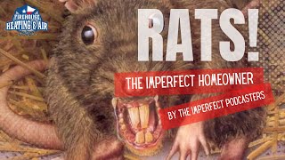 Imperfectly getting rid of rats!