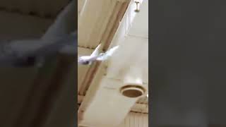 #besttechnology  #best #technology #shorts  #top  #new #vidio #viral