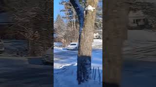 #indian  #beautiful #snow #viral