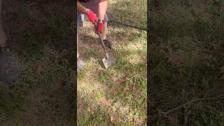 Going for a pull tab record! #metaldetecting #metaldetector