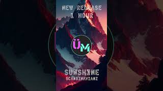 Scandinavianz - Sunshine 1 Hour Loop by Unlimited Music | No Copyright Sounds #shorts