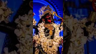 শুধু ফুলে হয় না পুজো ভক্তি যে চাই মনে..🌺🦚🙏#shortsvideo #viral #kalimaa
