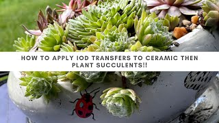 How to customize a ceramic planter with IOD transfers and plant succulents