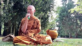 Buddhism, Bitcoin, and the Currency of Joy | Ajahn Nisabho