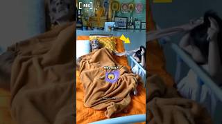 Miracle of Allah ||#shorts #allahkakarishma