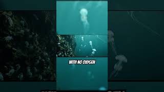 The Deep Sea Is Still a Mystery 🌊 #deepsea #science